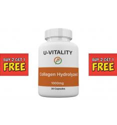 Collagen Hydrolyzed 500 mg